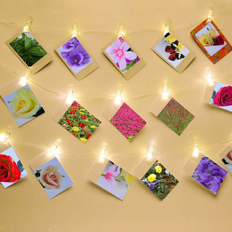 Translucent Mini Craft Clips 50Pcs Portable Photo Clips Plastic Mini Spring Clear Clothes Pegs For ...