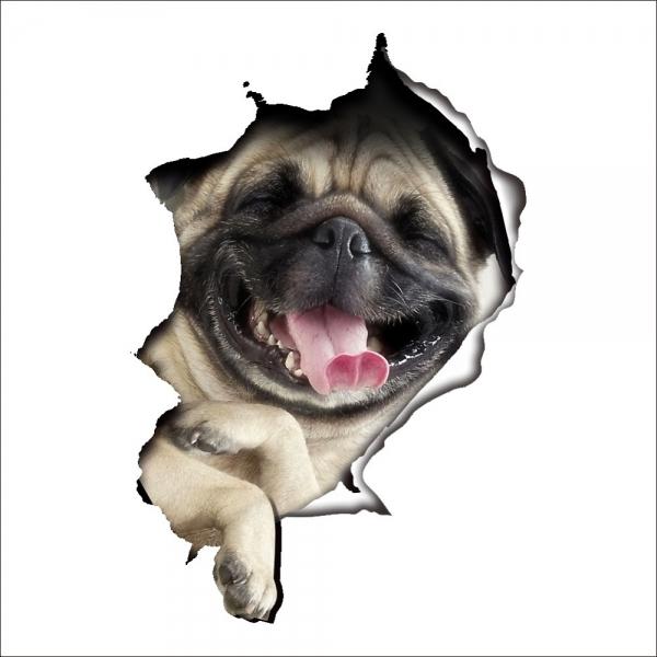 3D Hole View Cat Dog Waterproof Wall Sticker Home Decoration Car Stickers 3D Stereo Anime Funny Creative Personality Simulation Stickers Car Styling Accessories