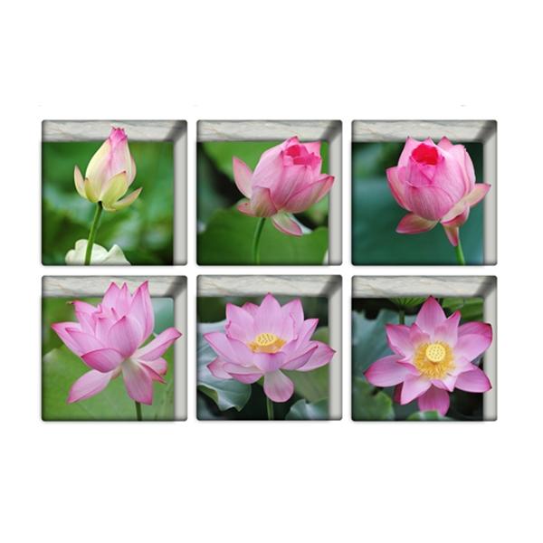6pcs 13*13CM DIY 3D Anti Slip Waterproof Bathtub Sticker Removable Mural - Lotus