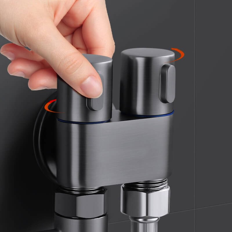1-in-2-out Dual Control Valve – dinoinbox